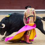 The Bull or the Matador