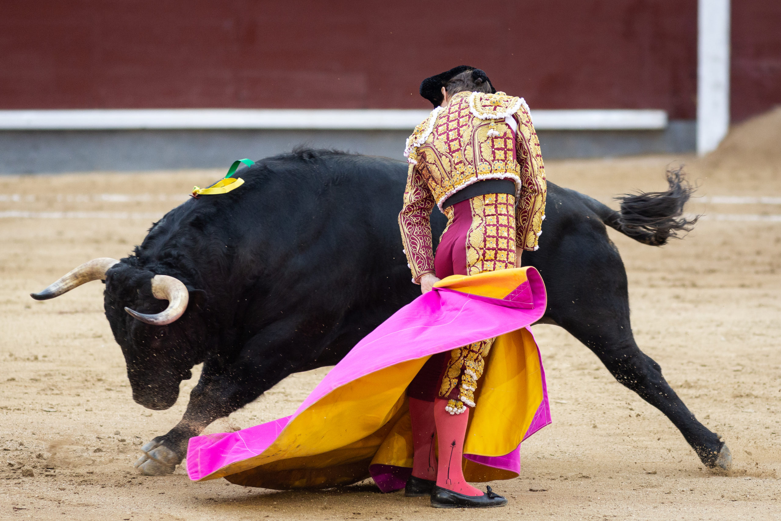 The Bull or the Matador