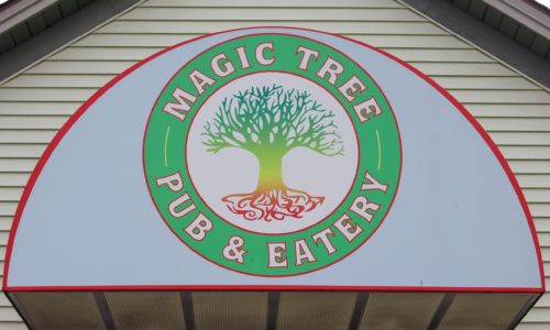 898 digital marketing trip to magic tree
