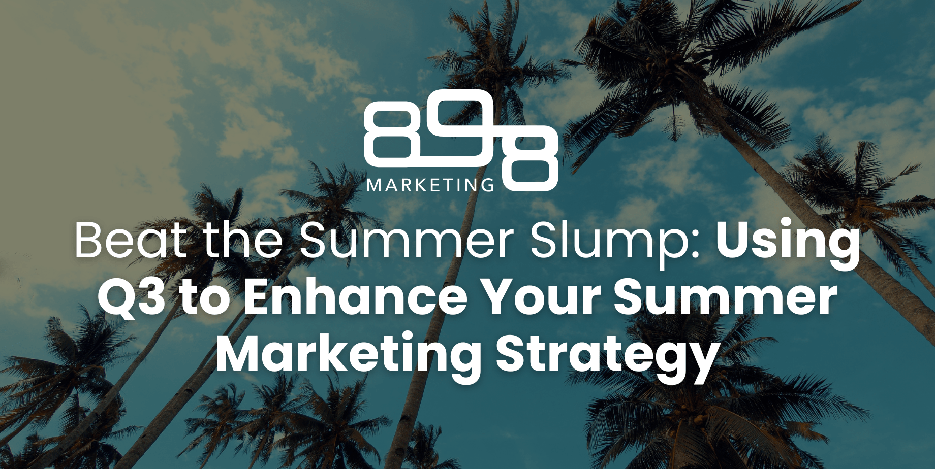 summer marketing strategy blog header with palm trees